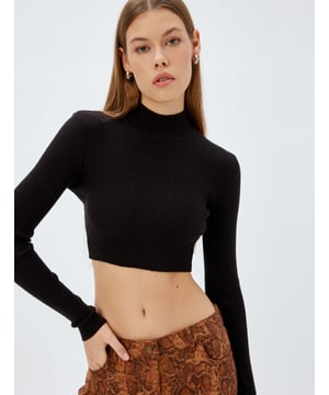 -Slim -Ohne Tasche -Kroplänge -Langärmelig -Rollkragen -Sweater
