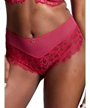 Panache Allure Deep Brief. High waisted brief with full rear coverage and stretch lace. This product is recommended for gentle wash only.
