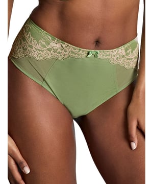 Panache Ana Deep Brief. High waist brief with full rear coverage. This product is recommended for hand wash only.