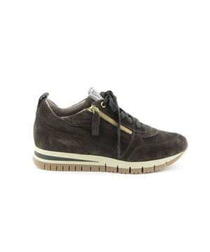 

     Artikel 5826 in kleur Ebano Marsala Bronzo-Versione 04 is een prachtige bruine veterschoen, voor dames, van het merk DL-Sport. De zool is van rubber. De voering is leer. De voetwijdte is standaard. Deze veterschoen is voorzien van een uitneembaar voetbed.
    <BR>De schoenen van het merk DL-Sport zijn stijlvol, trendy en uiterst comfortabel. Dit prachtige Italiaanse merk richt zich vooral op sportieve modellen voor de dames die goede pasvorm, kwaliteit en draagcomfort waarderen. De fraaie sneakers worden in Italie geproduceerd in de mooiste materialen en zijn uitgerust met losse zolen, waardoor het dragen van eigen zolen in de schoenen mogelijk is. De schoenen van D-Lussil zijn van binnen en buiten helemaal van leer gemaakt.
    
    