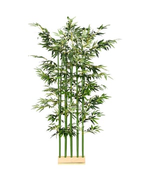 
De kunstplant in pot ziet er altijd perfect uit en heeft geen onderhoud nodig – je hoeft hem alleen maar af te nemen. Geen water geven, niet snoeien, geen muggen, geen allergieën: deze kunstplant is een droom en ideaal voor binnen. Geniet van een vleugje bedrieglijk echte exotische natuur in huis.  Kunstmatige bamboe plant met realistisch en zeer mooi uiterlijk Geschikt voor uw huis of kantoor Deze kamerplant bestaat uit 1640 bladeren om het uiterlijk getrouw weer te geven Gemakkelijk schoon te maken en te onderhouden In tegenstelling tot natuurlijke planten heeft deze plant geen water nodig en hoeft niet gesnoeid te worden, verwelkt niet en kan op plekken zonder licht geplaatst worden De basis van de kunstplant is gemaakt van grenenhout, waardoor deze stabieler is en een natuurlijker en decoratiever tintje krijgt De functie beperkt zich niet tot decoratie, maar is ook bruikbaar als scheidingswand met een hoogte van 180 cm  Geen montage nodig Koop meerdere units om de lengte te vergrotenTechnische gegevens: Kleur: Groen Materiaal: Polyester, bamboe, grenenhout Type: Bamboe Totale hoogte: 180 cm Afmetingen pot: 35L x 10B x 10H cm - Afmeting: - Kleur: Wit - Materiaal: Kunststof