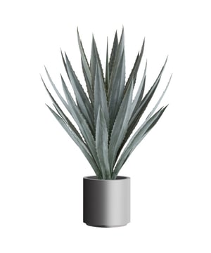
Van oorsprong komt de Agave veel voor in Midden- en Noord-Amerika. De kenmerken van deze plant zijn de mooie blauwgroene kleur en de puntige gekartelde bladeren. De Agave kunstplant heeft het allemaal! Door de natuurgetrouwe kleuren en details in de bladeren is deze nepplant niet van echt te onderscheiden. Daarnaast is de kunst Agave ook nog eens makkelijk in onderhoud; alleen af en toe afstoffen is voldoende.De kunst Agave is 110 cm hoog en heeft maar liefst 30 levensechte bladeren. Of dit nu thuis, op kantoor, een wachtruimte of winkel is, deze volle nepplant vult direct een lege ruimte.  Door het robuuste uiterlijk voelt deze Agave zich goed thuis in stoere, industriële jungle interieurs. De plant wordt geleverd in een grijze kunststof pot met een diameter van ongeveer 27 cm. Plaats hem in een passende sierpot die matcht met jouw inrichting.    Kenmerken Kopu® Kunstplant Agave 110 cm Product: Kunstplant Agave Kleur: Groen Totaal hoogte plant: 110 cm Met 30 levensechte bladeren Materiaal bladeren: 100% kunststof Inclusief kweekpot van ca. 27x27 cm met kunstaarde Eenvoudig in onderhoud Hoogwaardige kwaliteitKopu® kunstplanten voor thuis en op kantoorKopu® is gespecialiseerd in kunstplanten van hoogwaardige kwaliteit. Overweeg je een kunstplant te kopen, maar wil je er wel één die niet te onderscheiden is van echt? Het ruime assortiment van Kopu® biedt diverse soorten en maten kunstplanten en kunstbloemen. Wil je langdurig genieten van een mooie groene plant of bloemen, zonder ingewikkeld of tijdrovend onderhoud, kies dan voor Kopu®.Voordelen van kunstplanten / kunstbloemen Onderhoudsvrij Geschikt voor vochtige ruimtes Kunstplanten en kunstbloemen blijven jaren mooi - Afmeting: 48 cm - Kleur: Grijs - Materiaal: Kunststof