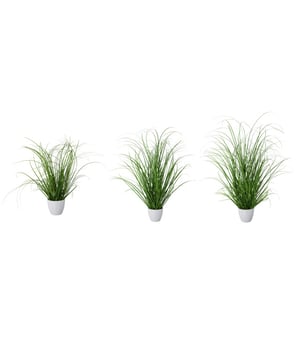 
Deze set van 3 grasplanten is een mooie volle graspol geleverd in een witte pot. Je kunt hem dus meteen neerzetten en genieten. Het gras is de siergras soort Zegge. Zegge is een van de meest populaire middelhoge siergrassen voor buiten, zo niet dé meest populaire. Door de vele takken en fijn blad heeft hij een natuurlijke uitstraling Met een hoogte van ongeveer 60 cm is hij los op de grond als op een verhoging te plaatsen. De kunst grasplant, is geschikt is voor binnen gebruik. Hoge kwaliteit: je zult zien als je de plant binnen krijgt dat hij natuurgetrouw is.Kenmerken Kopu® Kunstplant Grasplant 40/50/60 cm Product: grasplant type Zegge Kleur: Groen Totaal hoogte: 40/50/60 cm Taklengte tot ca 70 cm Afmetingen plant: ca. 25 cm Inclusief witte keramieke pot Hoogte pot: ca 9 cm Verkrijgbaar in verschillende hoogtematen Materiaal  gras 100% polyester Eenvoudig in onderhoud Hoogwaardige kwaliteitKopu® kunstplanten voor thuis en op kantoorKopu® is gespecialiseerd in kunstplanten van hoogwaardige kwaliteit. Overweeg je een kunstplant te kopen, maar wil je er wel één die niet te onderscheiden is van echt? Het ruime assortiment van Kopu® biedt diverse soorten en maten kunstplanten en kunstbloemen. Wil je langdurig genieten van een mooie groene plant of bloemen, zonder ingewikkeld of tijdrovend onderhoud, kies dan voor Kopu®.Voordelen van kunstplanten / kunstbloemen Onderhoudsvrij Geschikt voor vochtige ruimtes Kunstplanten en kunstbloemen blijven jaren mooi - Afmeting: L - Kleur: Groen - Materiaal: Polyester