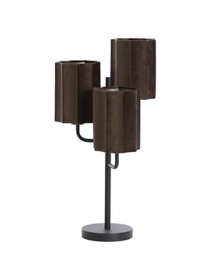 
Shop dit prachtige artikel van Light & LivingLight & Living - Tafellamp 3L Ø34x61 cm EDISA velvet donker bruin+mat zwart is gemaakt en ontwerpen door het Nederlandse merk Light & Living.De belangrijkste kenmerken van het artikel zijn als volgt:Kleur: BruinProduct Lengte: 34Product Breedte: 34Producht Hoogte: 61Gewicht: 1.85Light & Living werd meer dan vijftig jaar geleden opgericht. We begonnen met het maken van lampenkappen in een kleine fabriekshal. Al snel kwamen daar lampen bij, zodat we een totaal verlichtingsconcept konden aanbieden. Na vele jaren actief te zijn geweest op de verlichtingsmarkt, zijn we gaan uitbreiden met betaalbare woonaccessoires en (klein)meubelen.Wij weten als geen ander dat thuis de plek is waar mensen zich vaak het prettigst voelen. Een eigen plek, ingericht met comfortabele meubels en sfeervolle verlichting. We denken graag met je mee. Daarom reizen we de hele wereld over op zoek naar de mooiste verlichting en woondecoratie. We zijn altijd op zoek naar dat ene speciale item waar ons hart sneller van gaat kloppen. Deze momenten leggen we vast en vertalen we naar onze producten.Twee keer per jaar presenteren we een nieuwe seizoenscollectie. Zo weten we je elke keer weer te inspireren! - Afmeting: 34x34x61 - Kleur: Bruin - Materiaal: Metaal