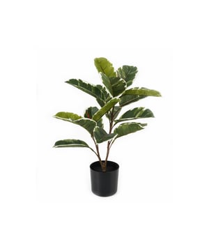 
De Oak Leaf kunstplant van Present Time tovert je huis om in een groene oase. Wie geen groene vingers heeft, maar wél dol is op een portie groen in huis, heeft hierbij de perfecte match gevonden. Fleur dat lege plekje in huis op! En extrafijn: op wat afstoffen na heb je er geen omijken meer naar. Stijl de Oak Leaf van Present Time met de andere kamerplanten uit de serie. - Afmeting: 42x42x57 - Kleur: Groen - Materiaal: Kunststof