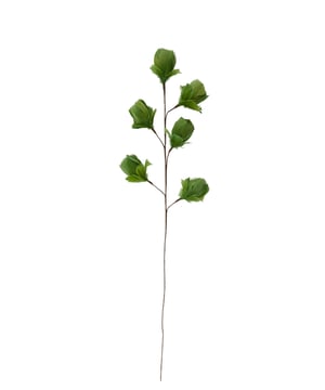 Ornament TULIP past perfect bij ieder interieur - Afmeting: 26x6x90 - Kleur: Groen - Materiaal: Kunststof