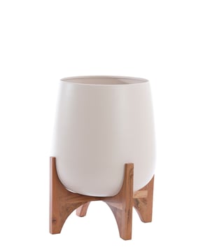 
Shop dit prachtige artikel van Light & LivingLight & Living - Pot deco op voet Ø44x53 cm KARUNA hout+mat crème is gemaakt en ontwerpen door het Nederlandse merk Light & Living.De belangrijkste kenmerken van het artikel zijn als volgt:Kleur: WitProduct Lengte: 44Product Breedte: 44Producht Hoogte: 53Gewicht: 4.4Light & Living werd meer dan vijftig jaar geleden opgericht. We begonnen met het maken van lampenkappen in een kleine fabriekshal. Al snel kwamen daar lampen bij, zodat we een totaal verlichtingsconcept konden aanbieden. Na vele jaren actief te zijn geweest op de verlichtingsmarkt, zijn we gaan uitbreiden met betaalbare woonaccessoires en (klein)meubelen.Wij weten als geen ander dat thuis de plek is waar mensen zich vaak het prettigst voelen. Een eigen plek, ingericht met comfortabele meubels en sfeervolle verlichting. We denken graag met je mee. Daarom reizen we de hele wereld over op zoek naar de mooiste verlichting en woondecoratie. We zijn altijd op zoek naar dat ene speciale item waar ons hart sneller van gaat kloppen. Deze momenten leggen we vast en vertalen we naar onze producten.Twee keer per jaar presenteren we een nieuwe seizoenscollectie. Zo weten we je elke keer weer te inspireren! - Afmeting: 44x44x53 - Kleur: Wit - Materiaal: Metaal