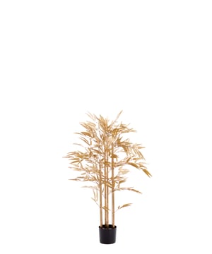 
Shop dit prachtige artikel van Light & LivingLight & Living - Ornament in pot 120x70x120 cm BAMBOO metallic licht goud is gemaakt en ontwerpen door het Nederlandse merk Light & Living.De belangrijkste kenmerken van het artikel zijn als volgt:Kleur: GoudProduct Lengte: 120Product Breedte: 70Producht Hoogte: 120Gewicht: 5Light & Living werd meer dan vijftig jaar geleden opgericht. We begonnen met het maken van lampenkappen in een kleine fabriekshal. Al snel kwamen daar lampen bij, zodat we een totaal verlichtingsconcept konden aanbieden. Na vele jaren actief te zijn geweest op de verlichtingsmarkt, zijn we gaan uitbreiden met betaalbare woonaccessoires en (klein)meubelen.Wij weten als geen ander dat thuis de plek is waar mensen zich vaak het prettigst voelen. Een eigen plek, ingericht met comfortabele meubels en sfeervolle verlichting. We denken graag met je mee. Daarom reizen we de hele wereld over op zoek naar de mooiste verlichting en woondecoratie. We zijn altijd op zoek naar dat ene speciale item waar ons hart sneller van gaat kloppen. Deze momenten leggen we vast en vertalen we naar onze producten.Twee keer per jaar presenteren we een nieuwe seizoenscollectie. Zo weten we je elke keer weer te inspireren! - Afmeting: 120x70x120 - Kleur: Goud - Materiaal: Kunststof