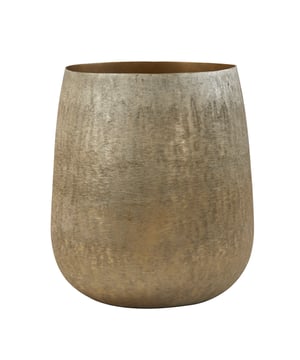 
Shop dit prachtige artikel van Light & LivingLight & Living - Pot deco Ø39x42 cm GENOLI goud is gemaakt en ontwerpen door het Nederlandse merk Light & Living.De belangrijkste kenmerken van het artikel zijn als volgt:Kleur: GoudProduct Lengte: 39Product Breedte: 39Producht Hoogte: 42Gewicht: 2.6Light & Living werd meer dan vijftig jaar geleden opgericht. We begonnen met het maken van lampenkappen in een kleine fabriekshal. Al snel kwamen daar lampen bij, zodat we een totaal verlichtingsconcept konden aanbieden. Na vele jaren actief te zijn geweest op de verlichtingsmarkt, zijn we gaan uitbreiden met betaalbare woonaccessoires en (klein)meubelen.Wij weten als geen ander dat thuis de plek is waar mensen zich vaak het prettigst voelen. Een eigen plek, ingericht met comfortabele meubels en sfeervolle verlichting. We denken graag met je mee. Daarom reizen we de hele wereld over op zoek naar de mooiste verlichting en woondecoratie. We zijn altijd op zoek naar dat ene speciale item waar ons hart sneller van gaat kloppen. Deze momenten leggen we vast en vertalen we naar onze producten.Twee keer per jaar presenteren we een nieuwe seizoenscollectie. Zo weten we je elke keer weer te inspireren! - Afmeting: Ø39x42 - Kleur: Goud - Materiaal: Metaal