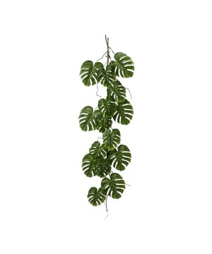 
Met deze prachtige hangende kunstplant Split Philodendron krijg je een eyecatcher in je interieur! De kunsthangplant is ca 119 cm lang. Het wordt geleverd met een ophangtouw welke je zelf nog eens zou kunnen verlengen als je hem meer lengte wilt geven.  Onderscheidend bij deze hangplant is de zeer volle uitvoering met de vele bladeren.Hangplanten zijn erg in trek omdat het goed past in de urban jungle style. Maar water geven is niet zo praktisch bij hangplanten en daarom wordt veelal gekozen voor kunstplanten. Ook omdat die tegenwoordig haast niet van echt te onderscheiden zijn. De Split Philodendron is een populaire kamerplant met hartvormige groene bladeren met gespleten bladeren. Van origine komen de meeste Philodendron soorten uit het regenwoud van Centraal en Zuid-Amerika. Daar is hij als klimplant en hangplant te zien. Kenmerken Kopu® Hangplant Philodendron 75 cm: Product: Hangplant Philodendron Kleur: Groen Totaal hoogte plant: 119 cm Inclusief touwlengte ca 150 cm  Zeer eenvoudig in onderhoud Hoogwaardige kwaliteitKopu® kunstplanten voor thuis en op kantoorKopu® is gespecialiseerd in kunstplanten van uitstekende kwaliteit. Overweeg je een kunstplant te kopen, maar wil je er wel een die echt lijkt en mooi blijft? Je hebt veel keuze door ons ruime assortiment kunstplanten en kunstbloemen.  Wil je genieten van een mooie groene plant of bloemen, maar niet het lastige en tijdrovende onderhoud ervan hebben, dan zit je goed met de planten van Kopu®.Voordelen van kunstplantenOnderhoudsvrij; je hoeft ze geen water te gevenGeschikt voor vochtige ruimte Kunst hangplanten blijven jarenlang mooi - Afmeting: 48 cm - Kleur: Groen - Materiaal: Kunststof