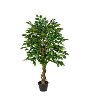 
Bent u klaar om uw ruimte om te toveren tot een weelderige oase van groen, zonder gedoe met onderhoud? Zoek niet verder dan onze prachtige Ficus Benjamina kunstplant van 125 cm. Met zijn verbluffende levensechte uiterlijk is deze kunstplant de perfecte aanvulling op elke kamer en biedt hij al het moois van de natuur zonder de noodzaak van water geven, snoeien of zonlicht.Technische data:* planthoogte inclusief pot 125 cm* hoogte van de plant zelf 110,5 cm* overspanning ca. 80 cm* potmaat: diameter 18 cm, hoogte 14,5 cm Realistische schoonheid: onze Ficus Benjamina is 125 cm hoog en vormt een indrukwekkend verticaal element voor uw interieur. Met 630 bladeren die het levendige groen van een echte Ficus nabootsen, komt je ruimte tot leven met een vleugje natuur. Natuurlijke stam: de toevoeging van een natuurlijke stam geeft een authentiek tintje aan deze kunstmatige schoonheid. Het verbetert niet alleen het echte uiterlijk, maar zorgt ook voor stabiliteit, waardoor het een ideaal decoratiestuk is voor elke omgeving. Het hele jaar door groen: Zeg vaarwel tegen de zorgen over seizoensveranderingen die uw kamerplanten beïnvloeden. Onze Ficus Benjamina blijft het hele jaar door weelderig en levendig, waardoor uw ruimte ongeacht het seizoen uitnodigend, groen en gastvrij blijft. Eenvoudig onderhoud: vergeet het constante water geven, bemesten en snoeien dat echte planten nodig hebben. Onze kunst Ficus Benjamina is vrijwel onderhoudsvrij, waardoor u tijd en moeite bespaart en het onberispelijke uiterlijk behouden blijft. Veelzijdig decor: of je nu je woonkamer, kantoor, slaapkamer of zelfs een commerciële ruimte wilt opfleuren, onze Ficus Benjamina voegt een elegant tintje toe aan elke omgeving. Het strakke ontwerp en de levensechte kenmerken maken het een ideale keuze voor zowel moderne als traditionele omgevingen. Milieuvriendelijk: door een kunstplant te kiezen, maakt u een milieubewuste beslissing om uw ecologische voetafdruk te verkleinen. Je geniet van de schoonheid van de natuur en draagt ​​tegelijkertijd bij aan een duurzame toekomst. Eindeloze mogelijkheden: Creëer prachtige arrangementen door onze Ficus Benjamina te combineren met je favoriete pot of decoratieve bak. Het sierlijke silhouet en het realistische blad zullen elke hoek van uw ruimte naar een hoger niveau tillen.Ervaar de tijdloze schoonheid van de natuur met de 120 cm Ficus Benjamina Kunstplant. Breng uw interieur moeiteloos naar een hoger niveau met deze prachtige, onderhoudsvrije toevoeging. Omarm de elegantie van kunstgroen en geniet van de complimenten die het met zich meebrengt!Bestel hem vandaag nog en laat de Ficus Benjamina jouw ruimte transformeren in een oase van eeuwige schoonheid.Kenmerken Kopu® Kunstplant Ficus Benjamina 125 cm Product: Ficus Benjamina  Natuurhouten stam Aantal bladeren: 630 Totaal hoogte: ca. 125 cm Voorzien van kunststof binnenpotKopu® kunstplanten voor thuis en op kantoorKopu® is gespecialiseerd in kunstplanten van hoogwaardige kwaliteit. Overweeg je een kunstplant te kopen, maar wil je er wel één die niet te onderscheiden is van echt? Het ruime assortiment van Kopu® biedt diverse soorten en maten kunstplanten en kunstbloemen. Wil je langdurig genieten van een mooie groene plant of bloemen, zonder ingewikkeld of tijdrovend onderhoud, kies dan voor Kopu®.Voordelen van kunstplanten / kunstbloemen Onderhoudsvrij Geschikt voor vochtige ruimtes Kunstplanten en kunstbloemen blijven jaren mooi - Afmeting: 48 cm - Kleur: Groen - Materiaal: Kunststof