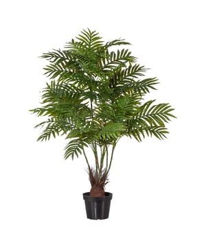 
De Areca palm wordt ook wel de Goudpalm genoemd. En dat is niet voor niets. Kijk maar naar deze schitterende palm, vol met sierlijke varens, hij trekt direct de aandacht! Deze nep Arecapalm is niet van echt te onderscheiden. Het materiaal is van hoge kwaliteit; deze palm heeft zogenaamde ‘real touch’ varens. Ze lijken niet alleen echt, maar voelen ook als echte bladeren. Het is een volle palm die door haar elegantie in vele ruimtes als decoratie kan dienen. Denk aan de entree van een gebouw, publieke ruimtes of op kantoor. Maar ook in de woonkamer brengt deze kunstplant direct een fijne sfeer in huis. Door de hoogte van maar liefst 110 cm vul je met deze Arecapalm snel een lege ruimte op. De nepplant is geschikt voor binnengebruik en wordt geleverd in een zwarte kweekpot. Zo kun je de plant eenvoudig in iedere gewenste sierpot plaatsen.  Groene vingers zijn niet nodig, je moet de palm alleen af en toe afstoffen.Kenmerken Kopu® Kunstplant Arecapalm 110 cm Product: Kunstplant Arecapalm  Kleur: Groen Totaal hoogte plant: 110 cm Met 6 stammen en veel 'real touch' varens Materiaal bladeren: 100% kunststof Inclusief kweekpot Eenvoudig in onderhoud Hoogwaardige kwaliteitKopu® kunstplanten voor thuis en op kantoorKopu® is gespecialiseerd in kunstplanten van hoogwaardige kwaliteit. Overweeg je een kunstplant te kopen, maar wil je er wel één die niet te onderscheiden is van echt? Het ruime assortiment van Kopu® biedt diverse soorten en maten kunstplanten en kunstbloemen. Wil je langdurig genieten van een mooie groene plant of bloemen, zonder ingewikkeld of tijdrovend onderhoud, kies dan voor Kopu®.Voordelen van kunstplanten / kunstbloemen Onderhoudsvrij Geschikt voor vochtige ruimtes Kunstplanten en kunstbloemen blijven jaren mooi - Afmeting: 48 cm - Kleur: Groen - Materiaal: Kunststof