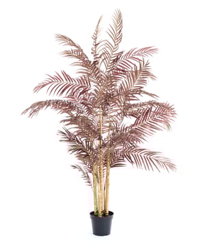 
Shop dit prachtige artikel van Light & LivingOrnament in pot 198x160x198 cm PALM metallic bordeaux is gemaakt en ontwerpen door het Nederlandse merk Light & Living.De belangrijkste kenmerken van het artikel zijn als volgt:Kleur: RoodProduct Lengte: 198Product Breedte: 160Producht Hoogte: 198Gewicht: 5Light & Living werd meer dan vijftig jaar geleden opgericht. We begonnen met het maken van lampenkappen in een kleine fabriekshal. Al snel kwamen daar lampen bij, zodat we een totaal verlichtingsconcept konden aanbieden. Na vele jaren actief te zijn geweest op de verlichtingsmarkt, zijn we gaan uitbreiden met betaalbare woonaccessoires en (klein)meubelen.Wij weten als geen ander dat thuis de plek is waar mensen zich vaak het prettigst voelen. Een eigen plek, ingericht met comfortabele meubels en sfeervolle verlichting. We denken graag met je mee. Daarom reizen we de hele wereld over op zoek naar de mooiste verlichting en woondecoratie. We zijn altijd op zoek naar dat ene speciale item waar ons hart sneller van gaat kloppen. Deze momenten leggen we vast en vertalen we naar onze producten.Twee keer per jaar presenteren we een nieuwe seizoenscollectie. Zo weten we je elke keer weer te inspireren! - Afmeting: 198x160x198 - Kleur: Rood - Materiaal: Kunststof