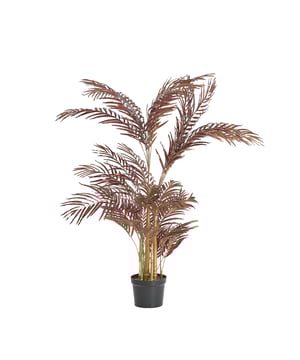 
Shop dit prachtige artikel van Light & LivingOrnament in pot 145x135x135 cm PALM metallic bordeaux is gemaakt en ontwerpen door het Nederlandse merk Light & Living.De belangrijkste kenmerken van het artikel zijn als volgt:Kleur: RoodProduct Lengte: 145Product Breedte: 135Producht Hoogte: 135Gewicht: 5Light & Living werd meer dan vijftig jaar geleden opgericht. We begonnen met het maken van lampenkappen in een kleine fabriekshal. Al snel kwamen daar lampen bij, zodat we een totaal verlichtingsconcept konden aanbieden. Na vele jaren actief te zijn geweest op de verlichtingsmarkt, zijn we gaan uitbreiden met betaalbare woonaccessoires en (klein)meubelen.Wij weten als geen ander dat thuis de plek is waar mensen zich vaak het prettigst voelen. Een eigen plek, ingericht met comfortabele meubels en sfeervolle verlichting. We denken graag met je mee. Daarom reizen we de hele wereld over op zoek naar de mooiste verlichting en woondecoratie. We zijn altijd op zoek naar dat ene speciale item waar ons hart sneller van gaat kloppen. Deze momenten leggen we vast en vertalen we naar onze producten.Twee keer per jaar presenteren we een nieuwe seizoenscollectie. Zo weten we je elke keer weer te inspireren! - Afmeting: 145x135x135 - Kleur: Rood - Materiaal: Kunststof