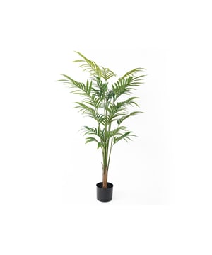 
De Palm Tree kunstplant van Present Time tovert je huis om in een groene oase. Wie geen groene vingers heeft, maar wél dol is op een portie groen in huis, heeft hierbij de perfecte match gevonden. Fleur dat lege plekje in huis op! En extrafijn: op wat afstoffen na heb je er geen omijken meer naar. Stijl de Palm Tree van Present Time met de andere kamerplanten uit de serie. - Afmeting: 72x72x120 - Kleur: Groen - Materiaal: Kunststof
