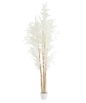 
Shop dit prachtige artikel van Light & LivingOrnament in pot 70x60x180 cm BAMBOO naturel+crème is gemaakt en ontwerpen door het Nederlandse merk Light & Living.De belangrijkste kenmerken van het artikel zijn als volgt:Kleur: BruinProduct Lengte: 70Product Breedte: 60Producht Hoogte: 180Gewicht: 5Light & Living werd meer dan vijftig jaar geleden opgericht. We begonnen met het maken van lampenkappen in een kleine fabriekshal. Al snel kwamen daar lampen bij, zodat we een totaal verlichtingsconcept konden aanbieden. Na vele jaren actief te zijn geweest op de verlichtingsmarkt, zijn we gaan uitbreiden met betaalbare woonaccessoires en (klein)meubelen.Wij weten als geen ander dat thuis de plek is waar mensen zich vaak het prettigst voelen. Een eigen plek, ingericht met comfortabele meubels en sfeervolle verlichting. We denken graag met je mee. Daarom reizen we de hele wereld over op zoek naar de mooiste verlichting en woondecoratie. We zijn altijd op zoek naar dat ene speciale item waar ons hart sneller van gaat kloppen. Deze momenten leggen we vast en vertalen we naar onze producten.Twee keer per jaar presenteren we een nieuwe seizoenscollectie. Zo weten we je elke keer weer te inspireren! - Afmeting: 70x60x180 - Kleur: Bruin - Materiaal: Kunststof