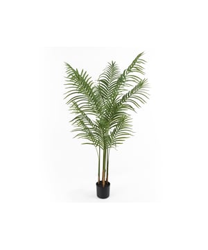 
De Kwai Tree kunstplant van Present Time tovert je huis om in een groene oase. Wie geen groene vingers heeft, maar wél dol is op een portie groen in huis, heeft hierbij de perfecte match gevonden. Fleur dat lege plekje in huis op! En extrafijn: op wat afstoffen na heb je er geen omijken meer naar. Stijl de Kwai Tree van Present Time met de andere kamerplanten uit de serie. - Afmeting: 60x60x140 - Kleur: Groen - Materiaal: Kunststof