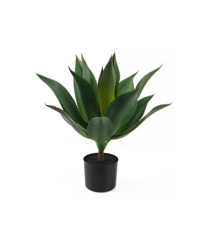 
De Succulent kunstplant van Present Time tovert je huis om in een groene oase. Wie geen groene vingers heeft, maar wél dol is op een portie groen in huis, heeft hierbij de perfecte match gevonden. Fleur dat lege plekje in huis op! En extrafijn: op wat afstoffen na heb je er geen omijken meer naar. Stijl de Succulent van Present Time met de andere kamerplanten uit de serie. - Afmeting: 50x50x56 - Kleur: Groen - Materiaal: Kunststof