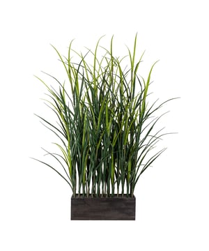 
Deze groene kunstgras plant is ideaal als ruimteverdeler. In de rechthoekige kunststofbak zitten meerdere volle graspollen van maar liefst 90 cm hoog. Het gras valt speels naar buiten. Deze graskamerverdeler zal een absolute blikvanger zijn in uw woon- en bedrijfsruimtes. De hoogwaardige en levensechte uitstraling en de veelzijdige toepassingsmogelijkheden maken deze graskamerverdeler tot een blijvende favoriet. De planten worden gepresenteerd in een houten kist en zijn dus direct klaar voor gebruik. Deze kunstplant, elk ca. 90 cm groot, geeft moderne kamers iets bijzonders.  Plaats het grove gras bijvoorbeeld in een hoge sierpot voor een raam of tussen bureaus voor meer privacy. Je kunt eenvoudig meerdere bakken naast of voor elkaar plaatsen. Het gras zorgt direct voor een fijne groene kalme sfeer. Geweldig decoratie-idee! De volle graspol wordt geleverd in een kunststof bak. De kunstplant is 90 cm hoog en 50 cm breed en is geschikt voor binnengebruik. Het grote voordeel is dat het nepgras weinig onderhoud nodig heeft, alleen af en toe afstoffen is voldoende. Deze roomdivider is verkrijgbaar in 90 en 120 cm hoogte.Kenmerken Kopu® Kunstplant Grasplant 90 cm Product: grasplant type weidegras Kleur: Groen Totaal hoogte: ca. 90 cm Inclusief kunststof rechthoekige bak Afmetingen pot: 13x30x10 cm Materiaal gras 100% polyester Eenvoudig in onderhoud Hoogwaardige kwaliteitKopu® kunstplanten voor thuis en op kantoorKopu® is gespecialiseerd in kunstplanten van hoogwaardige kwaliteit. Overweeg je een kunstplant te kopen, maar wil je er wel één die niet te onderscheiden is van echt? Het ruime assortiment van Kopu® biedt diverse soorten en maten kunstplanten en kunstbloemen. Wil je langdurig genieten van een mooie groene plant of bloemen, zonder ingewikkeld of tijdrovend onderhoud, kies dan voor Kopu®.Voordelen van kunstplanten / kunstbloemen Onderhoudsvrij Geschikt voor vochtige ruimtes Kunstplanten en kunstbloemen blijven jaren mooi - Afmeting: L - Kleur: Groen - Materiaal: Polyester