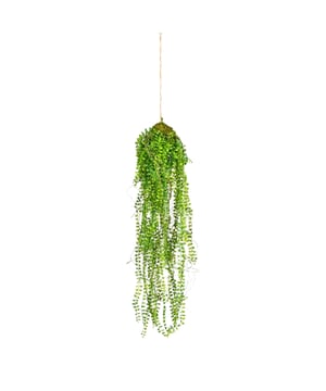 
Met deze prachtige hangende kunstplant krijg je een eyecatcher in je interieur! De kunsthangplant is ca 70 cm lang en hangt in een pot van ca 12x11 cm. Het wordt geleverd met een ophangtouw welke je zelf nog eens zou kunnen verlengen als je hem meer lengte wilt geven.  Onderscheidend bij deze hangplant is de zeer volle uitvoering met de vele bladeren.Hangplanten zijn erg in trek omdat het goed past in de urban jungle style. Maar water geven is niet zo praktisch bij hangplanten en daarom wordt veelal gekozen voor kunstplanten. Ook omdat die tegenwoordig haast niet van echt te onderscheiden zijn.De Philodendron is een populaire kamerplant met hartvormige groene bladeren. Van origine komen de meeste Philodendron soorten uit het regenwoud van Centraal en Zuid-Amerika. Daar is hij als klimplant en hangplant te zien. Kenmerken Kopu® Hangplant 70 cm: Product: Hangplant  Kleur: Groen Totaal hoogte plant: 70 cm Inclusief touwlengte ca 115 cm  Inclusief pot Hoogte pot: ca 11 cm Zeer eenvoudig in onderhoud Hoogwaardige kwaliteitKopu® kunstplanten voor thuis en op kantoorKopu® is gespecialiseerd in kunstplanten van uitstekende kwaliteit. Overweeg je een kunstplant te kopen, maar wil je er wel een die echt lijkt en mooi blijft? Je hebt veel keuze door ons ruime assortiment kunstplanten en kunstbloemen.  Wil je genieten van een mooie groene plant of bloemen, maar niet het lastige en tijdrovende onderhoud ervan hebben, dan zit je goed met de planten van Kopu®.Voordelen van kunstplantenOnderhoudsvrij; je hoeft ze geen water te gevenGeschikt voor vochtige ruimte Kunst hangplanten blijven jarenlang mooi - Afmeting: 48 cm - Kleur: Groen - Materiaal: Kunststof
