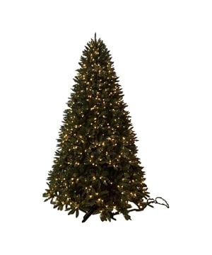 
Als je op zoek bent naar een grote kerstboom, dan is dit degene die je zoekt. De Excellent Trees® Led Varaa kunstkerstboom 360 cm zit vol met energiezuinige LED verlichting en heeft een mooie uitstraling door zijn vorm en heeft zachte dennennaalden wat hem een echte uitstraling geeft. De boom is 360 cm hoog en heeft een diameter van 200 cm. Zodra deze kerstboom staat, geeft het direct het ultieme kerstgevoel. De LED lampjes in de boom geven een prettig warm wit licht. Zo wordt de gehele ruimte direct sfeervol verlicht. De boom is mooi vol en heeft nog voldoende ruimte over voor versiering zodat de kerstboom compleet gedecoreerd kan worden.De kunstkerstboom is gemaakt van hoogwaardig PVC materiaal en zorgt ervoor dat de boom er vol uitziet. De zijtakken zijn afgewerkt met een recht uiteinde en de bruine nerf zorgt voor een natuurlijk effect. De boom ziet er door al deze extra aandachtspunten mooi vol en exclusief uit. De boom heeft een luxe metalen voet die door middel van 1 schroef vast te zetten is. Hij is tevens voorzien van antislip rubberen noppen zodat de boom stevig en goed in balans staat. De kunstkerstboom heeft een paraplu constructie waardoor hij gemakkelijk in gebruik is. De 4 verschillende onderdelen moeten enkel op elkaar gezet worden en de takken dienen nog uitgevouwen te worden zodat de kunstkerstboom de perfecte look krijgt. Verlichting kunstkerstboomDe kerstboom is voorzien van 1500 LED lampjes die al verwerkt zijn in de takken. De LED verlichting geeft een mooi warm licht. Aansluitsnoer is 5 meter lang en groen van kleur. Eigenschappen Excellent Trees® Vaara verlichte kunstkerstboom 360 cmInhoud: 1 kunstkerstboom met stevige metalen voetKleur: groenHoogte boom: 360 cmDiameter boom: 200 cmAantal takken: 7.794 takpuntenInclusief verlichting: jaAantal lampen: 1500 LED lampenInclusief sneeuw: neeInclusief versiering: neeMateriaal: hoogwaardig PVC materiaalAdviesKunstkerstbomen bestaan meestal uit meerdere delen, dit is afhankelijk van de hoogte van de kerstboom. Om de kerstboom een zo natuurlijk mogelijke look te geven begint u met de takken van het onderste deel uit te vouwen. Begin altijd vanuit de stam naar buiten te werken, vouw hierbij takje voor takje uit. Probeer de onderkant van de takken zo plat mogelijk te laten. Een echte boom heeft namelijk ook platte takken. De onderste takken kunt u naar beneden buigen zodat de standaard minder zichtbaar blijft. Vouw op deze manier alle takken van onder naar boven in het juiste model zodat er geen open ruimtes meer zichtbaar zijn. Hoe meer takken de kerstboom heeft des te voller deze wordt.GarantieBij de Excellent Trees® LED Vaara verlichte kunstkerstboom 360 cm zit 5 jaar garantie en kun je jarenlang genieten van deze prachtige boom die als ware eyecatcher geen enkel jaar mag ontbreken tijdens de feestdagen. - Afmeting: 360 cm - Kleur: Groen - Materiaal: PVC