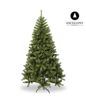 
Op zoek naar dé perfecte kerstboom? Stop maar met zoeken! Met onze Excellent Trees Oppdal Kerstboomserie haal je de meest prachtige en volle slanke bomen in huis, zonder verlichting. Dankzij de zachte PVC naalden zorgt deze boom voor een volle look. De stabiele groen metalen kruisvoet zorgt voor stevigheid, zowel binnen als buiten. En met het handige scharniersysteem is de boom eenvoudig op te zetten. Bovendien voldoet de boom aan de Europese EN71-2 normen en krijg je minimaal 2 jaar garantie. Wow, wat een geweldige deal!Volle boom, verschillende afmetingenMet de Kerstboomserie van Excellent Trees Oppdal heb je keuze uit 4 verschillende afmetingen, zodat je altijd de perfecte boom voor jouw ruimte kunt vinden. De hoogtes variëren tussen 120 cm, 150 cm, 180 cm, 210 cm. en 240 cm.Vol en slank dankzij PVC naaldenDeze kerstbomen hebben een vol en slank uiterlijk dankzij de vele zachte PVC naalden die worden gebruikt.Stabiele groen metalen kruisvoetDe kerstbomen uit de Excellent Trees Oppdal Kerstboomserie zijn voorzien van een stabiele groen metalen kruisvoet, waardoor de boom stevig staat en niet omvalt.Specificaties:●    Volle slanke bomen●    Zonder verlichting●    Volle boom door de vele zachte PVC naalden●    Stabiele groen metalen kruisvoet●    Materiaal: hoogwaardig PVC materiaal●    Binnen en buiten te gebruiken●    2 kleurig: groene naalden en bruine takken●    Eenvoudig op te zetten door het scharniersysteem: de takken vallen automatisch op hun plaats (je hoeft alleen de takken nog in vorm te brengen zoals jij dat wilt)●    Deze boom voldoet aan de Europese EN71-2 normen (o.a. vuurverspreidingstest).●    Garantie 2 jaarOptionele toebehoren: We hebben ook een opbergtas voor kerstbomen in de collectie. Hierin kun je de boom en extra accessoires opbergen voor een volgende keer. 8720629443843    Excellent Trees® Extra Sterke Opbergtas voor Kerstboom Large.Hier zijn 8 redenen waarom jij voor de Kerstboomserie van Excellent Trees Oppdal moet kiezen:1. Kies uit 4 verschillende afmetingen, zodat jouw boom perfect in jouw huis of tuin past.2. Onze volle slanke bomen zijn prachtig in elke ruimte en geven jouw huis een feestelijke sfeer.3. Geen gedoe met verlichting, je kunt zelf bepalen hoe je deze wilt toevoegen aan jouw boom.4. Geniet van een volle boom dankzij de vele zachte PVC naalden, die er natuurlijk uitzien zonder rommel te maken.5. De stabiele groene metalen kruisvoet zorgt ervoor dat jouw boom stevig op zijn plek blijft staan.6. Gemaakt van hoogwaardig PVC materiaal dat jarenlang meegaat en er altijd prachtig uitziet.7. Deze boom kan zowel binnen als buiten gebruikt worden, dus je kunt zelf bepalen waar je hem wilt plaatsen.8. Het tweekleurige ontwerp met groene naalden en bruine takken geeft jouw boom een realistische uitstraling.En dat is nog niet alles! Deze boom is super eenvoudig op te zetten dankzij het handige scharniersysteem. En we hebben goed nieuws voor de ouders: deze boom voldoet aan de Europese EN71-2 normen, dus je hoeft je geen zorgen te maken over de veiligheid van je kinderen. Bovendien bieden we ook nog eens 2 jaar garantie op deze boom.Waar wacht je nog op? Bestel nu jouw Kerstboomserie van Excellent Trees Oppdal en geniet van een stressvrije en feestelijke kerstperiode! - Afmeting: 150 cm - Kleur: Groen - Materiaal: PVC