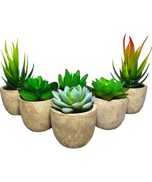
Ben je op zoek naar kunstplanten om de huiskamer, badkamer of werkruimte wat meer sfeer te geven? Heb je al veel planten dood laten gaan, maar wil je toch een natuurlijke sfeer creëren in jouw woning? Dan zijn de GreenDream kunstplanten ideaal voor jou! Onze decoratieve vetplanten hebben een natuurlijke uitstraling en gaan jarenlang mee! Geef ze een leukplekje en je hoeft er niet meer naar om te kijken!Grootste voordelenJarenlang plezierNatuurlijke uitstralingCreëer sfeerLevendige kleurenOveral te plaatsenNatuurlijke en decoratieve uitstralingDeze decoratieve plantjes passen bij elk interieur en elke ruimte. De vetplantjes lijken net echt vanwege de levendige kleuren! Ideaal om jouw woning sfeervoller en levendiger te maken, zonder dat je er dagelijks naar om moet kijken.Sterke materialenIn tegenstelling tot gewone vetplantjes, gaan de GreenDream kunstplanten jarenlang mee!De plantjes zijn gemaakt van vormstabiel kunststof en de potten van gerecycled cellulose.Een erg duurzame en milieuvriendelijke keuze!Overal te plaatsenDeze kunstplantjes hebben geen water en zonlicht nodig, dus je kunt ze plaatsen waar je maar wilt! Zo kun je meer sfeer creëren in jouw woonkamer, toilet, keuken of slaapkamer!Ideaal cadeauDeze schattige plantjes zijn een ideaal cadeau voor veel verschillende gelegenheden! Geef ze bijvoorbeeld als verjaardagscadeau, voor Moederdag of wanneer iemand een nieuwe woning heeft! Met dit cadeau ga je nooit de mist in!ProductkenmerkenMerk: GreamDreamAfmetingen (l x b x h): 6,5 x 6,5 x 10 cmMateriaal: kunststof + celluloseGewicht: 570 gramDeze set bestaat uit 6 kunstplantjes in een pot, met een afmeting van ongeveer 6,5 x 10 cm.cadeautip - sinterklaas cadeau - cadeau voor vrouw - cadeau tiener - Afmeting: - Kleur: Groen , Grijs - Materiaal: Kunststof