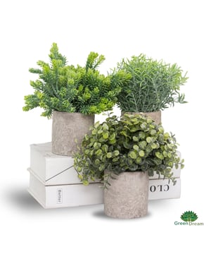 
Breng de betovering van de natuur in je huis met de GreanDream Set van 3 Natuurlijk Decoratieve Kamerplanten. Deze elegante set biedt de perfecte balans tussen natuurlijke schoonheid en onderhoudsgemak, en ze dienen ook als een geweldige cadeautip voor plantenliefhebbers.Voordelen van deze kunstplanten:- Diversiteit: Deze set bevat drie verschillende planten - buxus, rozemarijn en eucalyptus. Elke plant heeft zijn eigen unieke uitstraling en voegt variatie toe aan je interieur.- Gerecyclede papieren Potten: De potten van deze kamerplanten zijn vervaardigd uit gerecycled papier met cementlook. Dit maakt ze niet alleen duurzaam, maar ook stijlvol en milieuvriendelijk.-Geen Onderhoud Vereist: Deze kunstplanten hebben geen water en zonlicht nodig. Dit betekent dat je kunt genieten van hun natuurlijke charme zonder de zorgen van dagelijks onderhoud.-Hoogwaardige Kwaliteit: GreanDream staat bekend om zijn toewijding aan kwaliteit. Deze kamerplanten zijn gemaakt van vormstabiel kunststof en zijn vervaardigd om lang mee te gaan.-Natuurgetrouwe Uitstraling: De kunstplanten zien er natuurlijk uit en bootsen de echte planten op een verbazingwekkend realistische manier na. Ze voegen een vleugje natuurlijke frisheid toe aan elke ruimte.Transformeer je huis in een oase van natuurlijke rust met deze GreanDream kunstplanten. De veelzijdige en onderhoudsvrije eigenschappen maken ze perfect voor elke kamer of kantoorruimte. Geniet van de schoonheid van de natuur zonder de last van verzorging. Bestel vandaag nog deze set van 3 natuurlijk ogende en rustgevende kunstplanten en voeg een vleugje groen toe aan je leven.Specificaties:Planten Inbegrepen: Buxus, Rozemarijn, Eucalyptus.Materiaal Potten: Gerecycled papier met cement look.Afmetingen van de Planten: 21-23 cm hoog en 20 cm breedMateriaal Planten: Hoogwaardig Kunststof.Onderhoud: Geen water of zonlicht nodig.Gegarandeerde Duurzaamheid: Ontworpen om lang mee te gaan zonder te verwelken of hun kleur te verliezen.Jouw voordelen Natuurlijk ogende en rustgevende kunstplanten Hoogwaardige kwaliteit Veelzijdige decoraties Klein en compact Geen verdere verzorging nodigGeld terug garantieWij staan volledig achter de kwaliteit van onze producten en bieden jou een onvoorwaardelijke garantie. Wanneer u niet tevreden bent met ons product ontvangt u het gehele aankoopbedrag terug.Bestel deze decoratieve kunstplanten en geniet van de natuurlijke uitstraling!Ideaal als als kerst cadeau, of sinterklaascadeau - sinterklaas kado - Afmeting: - Kleur: Groen - Materiaal: Kunststof