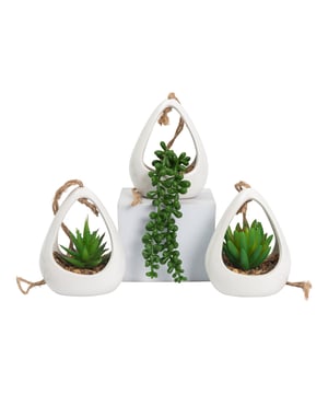 
Ben je op zoek naar leuke hangplantjes kunstplanten om de huiskamer, badkamer of werkruimte wat meer sfeer te geven? Dan zijn deze GreenDream® kunstplanten ideaal voor jou! Elk potje heeft een touw om het mee op te hangen. Is dat niet lang genoeg, dan vervang je gewoon het touw. Onze decoratieve vetplanten hebben een natuurlijke uitstraling en gaan jarenlang mee! Geef ze een leukplekje en je hoeft er niet meer naar om te kijken! De belangrijkste voordelen:Hangplanten zijn helemaal hotJe hebt geen kast of plank nodigDeze plantjes geven jarenlang plezierNatuurlijke uitstralingCreëer sfeerGeen onderhoud nodigNatuurlijke en decoratieve uitstralingDeze decoratieve plantjes passen bij elk interieur en elke ruimte. De vetplantjes lijken net echt vanwege de levendige kleuren! Ideaal om jouw woning sfeervoller en levendiger te maken, zonder dat je er dagelijks naar om moet kijken.Sterke materialenIn tegenstelling tot gewone vetplantjes, gaan de GreenDream® kunstplanten jarenlang mee! De plantjes zijn gemaakt van vormstabiel kunststof en de potten van gerecycled cellulose. Een erg duurzame en milieuvriendelijke keuze!Overal te plaatsenDeze kunstplantjes hebben geen water en zonlicht nodig, dus je kunt ze plaatsen waar je maar wilt!Zo kun je meer sfeer creëren in jouw woonkamer, toilet, keuken of slaapkamer!Ideaal cadeauMet dit cadeau ga je nooit de mist in! Deze schattige plantjes zijn een ideaal cadeau voor veel verschillende gelegenheden! Geef ze bijvoorbeeld als verjaardagscadeau, voor Moederdagals als kerst cadeau, sinterklaascadeau of wanneer iemand een nieuwe woning heeft! Of gewoon omdat het leuk is om iets te geven!ProductkenmerkenMerk: GreenDream®Afmetingen (l x b x h): 6x8x10 cm (zonder het touw)Materiaal: kunststof plantje + keramiek potjeGewicht: 450 gramDeze set bestaat uit 3 kunstplantjes in een pot, met een afmeting van ongeveer  8x10 cm. - Afmeting: - Kleur: Wit - Materiaal: Kunststof