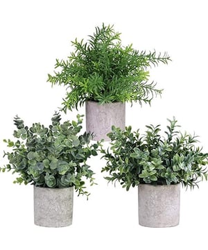 
NATUURLIJK EN DECORATIEF UITERLIJKDeze kunstplanten passen in elk huishouden en kunnen overal geplaatst worden. Met de levendige kleuren lijken ze verwarrend veel op echte planten. De planten hebben een stijlvolle look, waardoor ze een moderne lijn toevoegen aan uw huis. De set bestaat uit 3 kunstplanten. Eucalyptus, buxus en rozemarijn. Elke kleine kamerplant wordt in een pot geleverd.HOOGWAARDIG MATERIAALDe potten zijn gemaakt van gerecycled cement materiaalGegarandeerd een lange levensduur en duurzaamheidOok hebben de kunstplanten geen water en zonlicht nodigDeze nep planten zijn gemaakt van vormstabiel kunststofPRODUCTSPECIFICATIESDe set bestaat uit 3 kunstplanten in een pot, met een afmeting van circa 20 x 10cm. Deze set bestaat uit een kunstmatige eucalyptus, buxus en rozemarijn plant.Jouw voordelen Natuurlijk ogende en rustgevende kunstplanten Hoogwaardige kwaliteit Veelzijdige decoraties Klein en compact Geen verdere verzorging nodigGeld terug garantieWij staan volledig achter de kwaliteit van onze producten en bieden jou een onvoorwaardelijke garantie. Wanneer u niet tevreden bent met ons product ontvangt u het gehele aankoopbedrag terug.Bestel deze decoratieve kunstplanten en geniet van de natuurlijke uitstraling!Ideaal als als kerst cadeau, sinterklaascadeau - sinterklaas kado - Afmeting: - Kleur: Groen - Materiaal: Kunststof