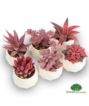 
Op zoek naar een eenvoudige manier om je kamer of kantoor op te fleuren? Maak kennis met de Greendream kunstplantjes set! Verpakt in een nette colorbox, zijn deze kunststof plantjes in keramieken potjes perfect voor elk interieur. Met een hoogte van 8 tot 10 cm en een breedte van 7 cm, bieden ze een natuurlijke uitstraling en details in de bodembedekking. En het beste van alles? Ze hebben geen onderhoud nodig, dus je kunt genieten van hun sfeervolle aanwezigheid zonder 'groene vingers'! De plantjes zijn ook heel leuk om cadeau te geven!Maak je interieur compleet met deze kunstplantjes set van Greendream!Deze set kunstplantjes is verpakt in een nette colorbox en is perfect om je kamer of kantoor op te fleuren. De plantjes zijn 8 tot 10 cm hoog en 7 cm breed, waardoor ze gemakkelijk in elk hoekje passen. Ze zijn gemaakt van kunststof en worden geleverd in leuke keramieken potjes. Hierdoor hebben ze een natuurlijke uitstraling en zijn alle details in de bodembedekking zichtbaar. Zo voelt het alsof je echte plantjes in huis hebt!Geniet jarenlang van deze onderhoudsvrije kunstplantjes.Heb je geen groene vingers of weinig tijd voor onderhoud? Dan zijn deze kunstplantjes perfect voor jou! Ze hebben geen water, zonlicht of speciale verzorging nodig. Hierdoor blijven ze altijd mooi en geven ze jarenlang plezier. Bovendien creëren ze een gezellige sfeer in elke ruimte. Of je ze nu in de woonkamer, slaapkamer of op kantoor plaatst, deze plantjes zorgen altijd voor een groene touch.Ga voor een uniek cadeau met deze vetplantjes in diamant potjes.Ben je op zoek naar een origineel cadeau? Dan zijn deze vetplantjes in diamant potjes een echte aanrader! De potjes hebben een uniek ontwerp en zien eruit als kleine diamanten. Hiermee geef je niet alleen een leuk plantje, maar ook een bijzonder decoratief item. Ideaal als cadeautip voor verjaardagen, housewarmingfeestjes of andere gelegenheden. Met deze kunstplantjes zorg je voor een blijvende herinnering.Specificaties:Natuurgetrouwe kunstplantjes van het merk GreendreamSet van 6 kunstplantjes voor een groene touch in huisGeschikt voor gebruik binnenshuisGeen gedoe met water geven of verzorgen, blijven altijd mooi Hoogwaardige kwaliteitMakkelijk te reinigen met een vochtige doekGeeft direct sfeer en gezelligheid aan iedere ruimtePerfect voor mensen zonder groene vingersKleur roze plantjes in wit potjecadeautip - sinterklaas cadeau - cadeau voor vrouw - als kerst cadeau, sinterklaascadeau - Afmeting: - Kleur: Wit - Materiaal: Kunststof