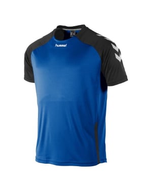 
Hummel Voetbal Trainingskleding Sportshirts van het materiaal en in de kleur 205 Blauw-multicolour.