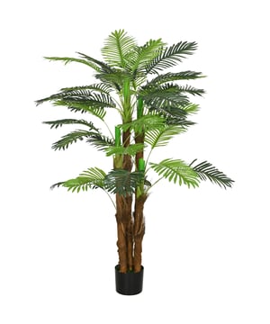 
Breng leven in je woonkamer, kantoor, entree of terras met deze prachtige kunstplanten die net echt lijken. Met 36 weelderige bladeren op een hoogte van 1,6 m geeft de kamerplant elke gewenste binnen- of buitenruimte een bijzondere uitstraling dankzij zijn realistische en exotische karakter.Voordelen:Geschikt voor woonkamer, kantoor, tuin en meerHoogwaardige en realistische uitstralingManueel buigbare takken voor vorm aanpassingGeen water nodigRealistische stammen met jonge scheutenInclusief pot met mos-nagemaakte coatingkunstplant|kunstpalm|kamerplant|decoratie|binnenshuis - Afmeting: - Kleur: Groen - Materiaal: Kunststof