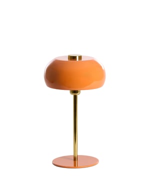 
Shop dit prachtige artikel van Light & LivingTafellamp Ø23x40 cm SURIN glans oranje+goud is gemaakt en ontwerpen door het Nederlandse merk Light & Living.De belangrijkste kenmerken van het artikel zijn als volgt:Kleur: OranjeProduct Lengte: 23Product Breedte: 23Producht Hoogte: 40Gewicht: 5Light & Living werd meer dan vijftig jaar geleden opgericht. We begonnen met het maken van lampenkappen in een kleine fabriekshal. Al snel kwamen daar lampen bij, zodat we een totaal verlichtingsconcept konden aanbieden. Na vele jaren actief te zijn geweest op de verlichtingsmarkt, zijn we gaan uitbreiden met betaalbare woonaccessoires en (klein)meubelen.Wij weten als geen ander dat thuis de plek is waar mensen zich vaak het prettigst voelen. Een eigen plek, ingericht met comfortabele meubels en sfeervolle verlichting. We denken graag met je mee. Daarom reizen we de hele wereld over op zoek naar de mooiste verlichting en woondecoratie. We zijn altijd op zoek naar dat ene speciale item waar ons hart sneller van gaat kloppen. Deze momenten leggen we vast en vertalen we naar onze producten.Twee keer per jaar presenteren we een nieuwe seizoenscollectie. Zo weten we je elke keer weer te inspireren! - Afmeting: Ø23x40 - Kleur: Oranje - Materiaal: Metaal