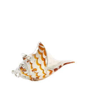 
Shop dit prachtige artikel van Light & LivingOrnament 28x12x16 cm SHELL glas wit+karamel is gemaakt en ontwerpen door het Nederlandse merk Light & Living.De belangrijkste kenmerken van het artikel zijn als volgt:Kleur: WitProduct Lengte: 28Product Breedte: 12Producht Hoogte: 16Gewicht: 5Light & Living werd meer dan vijftig jaar geleden opgericht. We begonnen met het maken van lampenkappen in een kleine fabriekshal. Al snel kwamen daar lampen bij, zodat we een totaal verlichtingsconcept konden aanbieden. Na vele jaren actief te zijn geweest op de verlichtingsmarkt, zijn we gaan uitbreiden met betaalbare woonaccessoires en (klein)meubelen.Wij weten als geen ander dat thuis de plek is waar mensen zich vaak het prettigst voelen. Een eigen plek, ingericht met comfortabele meubels en sfeervolle verlichting. We denken graag met je mee. Daarom reizen we de hele wereld over op zoek naar de mooiste verlichting en woondecoratie. We zijn altijd op zoek naar dat ene speciale item waar ons hart sneller van gaat kloppen. Deze momenten leggen we vast en vertalen we naar onze producten.Twee keer per jaar presenteren we een nieuwe seizoenscollectie. Zo weten we je elke keer weer te inspireren! - Afmeting: 28x12x16 - Kleur: Wit - Materiaal: Glas
