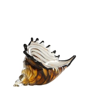 
Shop dit prachtige artikel van Light & LivingOrnament 28x12x16 cm SHELL glas bruin-brons+wit is gemaakt en ontwerpen door het Nederlandse merk Light & Living.De belangrijkste kenmerken van het artikel zijn als volgt:Kleur: BruinProduct Lengte: 28Product Breedte: 12Producht Hoogte: 16Gewicht: 5Light & Living werd meer dan vijftig jaar geleden opgericht. We begonnen met het maken van lampenkappen in een kleine fabriekshal. Al snel kwamen daar lampen bij, zodat we een totaal verlichtingsconcept konden aanbieden. Na vele jaren actief te zijn geweest op de verlichtingsmarkt, zijn we gaan uitbreiden met betaalbare woonaccessoires en (klein)meubelen.Wij weten als geen ander dat thuis de plek is waar mensen zich vaak het prettigst voelen. Een eigen plek, ingericht met comfortabele meubels en sfeervolle verlichting. We denken graag met je mee. Daarom reizen we de hele wereld over op zoek naar de mooiste verlichting en woondecoratie. We zijn altijd op zoek naar dat ene speciale item waar ons hart sneller van gaat kloppen. Deze momenten leggen we vast en vertalen we naar onze producten.Twee keer per jaar presenteren we een nieuwe seizoenscollectie. Zo weten we je elke keer weer te inspireren! - Afmeting: 28x12x16 - Kleur: Bruin - Materiaal: Glas