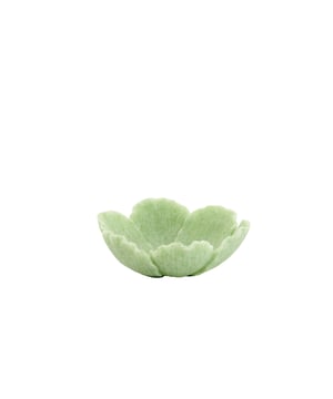 
Shop dit prachtige artikel van Light & LivingSchaal 20,5x19,5x7,5 cm FRESIA groen is gemaakt en ontwerpen door het Nederlandse merk Light & Living.De belangrijkste kenmerken van het artikel zijn als volgt:Kleur: GroenProduct Lengte: 20.5Product Breedte: 19.5Producht Hoogte: 7.5Gewicht: 5Light & Living werd meer dan vijftig jaar geleden opgericht. We begonnen met het maken van lampenkappen in een kleine fabriekshal. Al snel kwamen daar lampen bij, zodat we een totaal verlichtingsconcept konden aanbieden. Na vele jaren actief te zijn geweest op de verlichtingsmarkt, zijn we gaan uitbreiden met betaalbare woonaccessoires en (klein)meubelen.Wij weten als geen ander dat thuis de plek is waar mensen zich vaak het prettigst voelen. Een eigen plek, ingericht met comfortabele meubels en sfeervolle verlichting. We denken graag met je mee. Daarom reizen we de hele wereld over op zoek naar de mooiste verlichting en woondecoratie. We zijn altijd op zoek naar dat ene speciale item waar ons hart sneller van gaat kloppen. Deze momenten leggen we vast en vertalen we naar onze producten.Twee keer per jaar presenteren we een nieuwe seizoenscollectie. Zo weten we je elke keer weer te inspireren! - Afmeting: 20.5x19.5x7.5 - Kleur: Groen - Materiaal: Kunststof