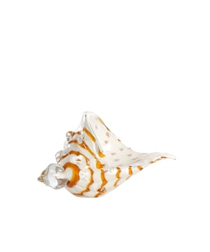 
Shop dit prachtige artikel van Light & LivingOrnament 22x10x12 cm SHELL glas wit+karamel is gemaakt en ontwerpen door het Nederlandse merk Light & Living.De belangrijkste kenmerken van het artikel zijn als volgt:Kleur: WitProduct Lengte: 22Product Breedte: 10Producht Hoogte: 12Gewicht: 5Light & Living werd meer dan vijftig jaar geleden opgericht. We begonnen met het maken van lampenkappen in een kleine fabriekshal. Al snel kwamen daar lampen bij, zodat we een totaal verlichtingsconcept konden aanbieden. Na vele jaren actief te zijn geweest op de verlichtingsmarkt, zijn we gaan uitbreiden met betaalbare woonaccessoires en (klein)meubelen.Wij weten als geen ander dat thuis de plek is waar mensen zich vaak het prettigst voelen. Een eigen plek, ingericht met comfortabele meubels en sfeervolle verlichting. We denken graag met je mee. Daarom reizen we de hele wereld over op zoek naar de mooiste verlichting en woondecoratie. We zijn altijd op zoek naar dat ene speciale item waar ons hart sneller van gaat kloppen. Deze momenten leggen we vast en vertalen we naar onze producten.Twee keer per jaar presenteren we een nieuwe seizoenscollectie. Zo weten we je elke keer weer te inspireren! - Afmeting: 22x10x12 - Kleur: Wit - Materiaal: Glas