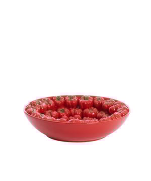 
Shop dit prachtige artikel van Light & LivingSchaal Ø43x12 cm TAMINA keramiek rood is gemaakt en ontwerpen door het Nederlandse merk Light & Living.De belangrijkste kenmerken van het artikel zijn als volgt:Kleur: RoodProduct Lengte: 43Product Breedte: 43Producht Hoogte: 12Gewicht: 5Light & Living werd meer dan vijftig jaar geleden opgericht. We begonnen met het maken van lampenkappen in een kleine fabriekshal. Al snel kwamen daar lampen bij, zodat we een totaal verlichtingsconcept konden aanbieden. Na vele jaren actief te zijn geweest op de verlichtingsmarkt, zijn we gaan uitbreiden met betaalbare woonaccessoires en (klein)meubelen.Wij weten als geen ander dat thuis de plek is waar mensen zich vaak het prettigst voelen. Een eigen plek, ingericht met comfortabele meubels en sfeervolle verlichting. We denken graag met je mee. Daarom reizen we de hele wereld over op zoek naar de mooiste verlichting en woondecoratie. We zijn altijd op zoek naar dat ene speciale item waar ons hart sneller van gaat kloppen. Deze momenten leggen we vast en vertalen we naar onze producten.Twee keer per jaar presenteren we een nieuwe seizoenscollectie. Zo weten we je elke keer weer te inspireren! - Afmeting: Ø43x12 - Kleur: Rood - Materiaal: Keramiek