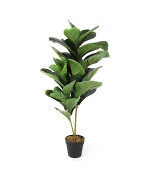 
Ontdek de Elegante Kunststof Ficus Elastica: Een Onderhoudsvrije Rubberplant Breng Natuurlijke Elegance in Uw Ruimte Maak kennis met de kunststof Ficus elastica, ook wel bekend als de nep rubberplant of rubberboom, een stijlvolle toevoeging aan elk interieur. Met zijn indrukwekkende afmetingen van ø 14 x 98 cm, biedt deze levensechte kunstplant de perfecte mix van design en gemak. Ideaal voor diegenen die hun leefruimte willen verfraaien met een vleugje groen, zonder de zorg en onderhoud die echte planten vereisen. Een Groene Toets, Zonder het Onderhoud Onze Ficus elastica kunstplant is ontworpen om de weelderige, donkergroene bladeren en de statige uitstraling van een echte rubberboom na te bootsen. Deze onderhoudsvrije plant blijft het hele jaar door levendig en fris, zonder dat u zich zorgen hoeft te maken over water geven, snoeien, of ideale lichtcondities. Het is de perfecte oplossing voor drukke professionals, mensen met allergieën, of iedereen die op zoek is naar een zorgeloze manier om de natuur binnenshuis te brengen. Duurzaam en Realistisch: Een Perfecte Decoratie Vervaardigd met aandacht voor detail, deze duurzame nep rubberplant biedt een realistische en aantrekkelijke decoratieve optie die niet te onderscheiden is van het echte werk. De Ficus elastica past naadloos in verschillende inrichtingsstijlen, van modern tot traditioneel, en verbetert elke kamer met zijn tijdloze elegantie. Veelzijdig en Stijlvol voor Elk Interieur Of het nu gaat om een toevoeging aan uw woonkamer, slaapkamer, kantoor of zelfs de badkamer, onze kunststof rubberplant is een veelzijdige keuze die elke ruimte kan transformeren. Het compacte formaat maakt het gemakkelijk om een plekje te vinden voor deze mooie plant, terwijl het tegelijkertijd een opvallend visueel accent toevoegt aan uw interieur. Investeer in Groen Zonder de Last Upgrade uw interieur vandaag nog met onze onderhoudsvrije kunststof Ficus elastica. Geniet van de schoonheid en de rust die planten brengen, zonder het gedoe van dagelijkse verzorging. Onze kunststof rubberplant is niet alleen een praktische keuze, maar ook een duurzame investering in uw welzijn en interieurdecoratie. Bestel nu en ervaar de perfecte combinatie van natuurlijke schoonheid en gemak.