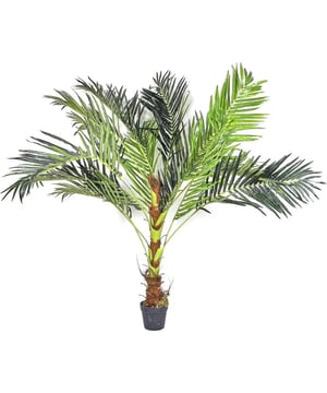 
Ontdek de Majestueuze Kunststof Cycas Revoluta: Een Tijdloze Toevoeging aan Uw Interieur Een Vleugje Exotisch Groen Zonder Onderhoud Stel u voor: de robuuste elegantie van de Cycas revoluta, ook wel bekend als de Sago Palm, verrijkt uw woon- of werkruimte, maar dan zonder de noodzaak voor water, zonlicht, of enige vorm van onderhoud. Met een indrukwekkende afmeting van ø 60 x 142,5 cm biedt onze kunststof Sago Palm een levensechte toevoeging aan elke ruimte, die zowel de schoonheid van de natuur als een vleugje exotische flair met zich meebrengt. Levensechte Elegantie, Jaar na Jaar Onze kunststof Cycas revoluta is zorgvuldig ontworpen om de unieke uitstraling en structuur van de echte Sago Palm na te bootsen, met zijn kenmerkende stijve bladeren en symmetrische vorm. Deze onderhoudsvrije plant blijft door de seizoenen heen groen en levendig, en biedt een duurzaam alternatief voor diegenen die wel de esthetiek maar niet het werk willen. Transformeer Elke Ruimte met Gemak Deze imposante kunstplant is de perfecte manier om een statement te maken in elke omgeving, van huiselijke woonkamers tot professionele kantoren. De Cycas revoluta voegt niet alleen een element van rust en groen toe, maar functioneert ook als een natuurlijk kunstwerk, dat elke ruimte transformeert zonder dat daar veel moeite voor nodig is. Duurzaam en Veelzijdig: Een Keuze voor de Toekomst Vervaardigd uit hoogwaardig kunststof, weerstaat onze Sago Palm de tand des tijds en behoudt zijn kleur en vorm zonder te verbleken of te verslechteren. Dit maakt het een slimme keuze voor zowel binnen- als buitendecoratie, en biedt een allergievriendelijke optie voor diegenen die toch willen genieten van de pracht van de natuur. Breng de Antieke Pracht van de Sago Palm in Huis Laat de tijdloze schoonheid van onze kunststof Cycas revoluta uw leefruimte verrijken. Ideaal voor iedereen die op zoek is naar een praktische, maar toch stijlvolle manier om hun interieur te verfraaien. Bestel nu en laat de majestueuze Sago Palm een bron van rust en inspiratie in uw huis worden.