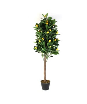 
Haal de Zonnige Sfeer in Huis met de Kunststof Citrus Limon Een Vleugje Mediterrane Charme, Geen Onderhoud Vereist Stelt u zich eens voor: de frisse, vrolijke aanwezigheid van een Citrus limon, ofwel citroenboom, in uw huis of kantoor, compleet met glanzende groene bladeren en levendige gele vruchten. Onze kunststof nepcitroenboom brengt precies die sfeer in elke ruimte, met de indrukwekkende afmetingen van ø 16 x 125 cm. Deze elegante toevoeging biedt de perfecte combinatie van natuurlijke schoonheid en praktisch gemak. Levensecht Ontwerp, Zonder de Zorg Onze kunststof Citrus limon is ontworpen om de schoonheid van een echte citroenboom tot in detail na te bootsen, inclusief de karakteristieke bladeren en de iconische, felgele vruchten. Dit alles zonder de noodzaak van water, zonlicht, of enige vorm van onderhoud. Ideaal voor mensen die houden van planten, maar niet de tijd of mogelijkheid hebben voor het verzorgen ervan. Verlicht Elke Ruimte met Natuurlijke Kleuren Of het nu gaat om het opfleuren van een woonkamer, het toevoegen van een natuurlijk element aan uw kantoor, of het creëren van een mediterraan thema in uw interieur, onze kunststof citroenboom past perfect. De levendige kleuren en natuurlijke vormen zorgen voor een warme, uitnodigende sfeer in elke omgeving. Duurzaam en Veelzijdig voor Langdurig Gebruik Vervaardigd uit hoogwaardig kunststof, is onze nep Citrus limon ontworpen om jarenlang mee te gaan. Deze kunstplant is bestand tegen verbleken en slijtage, waardoor het een uitstekende investering is voor zowel thuis als op kantoor. Bovendien is het een allergievriendelijke optie, perfect voor iedereen die wil genieten van de schoonheid van planten zonder zorgen over allergieën. Breng de Essentie van de Zomer in Uw Huis Laat uw ruimte stralen met de frisse, levendige aanwezigheid van onze kunststof Citrus limon. Deze onderhoudsvrije, levensechte citroenboom biedt een permanente herinnering aan zonnige dagen en vrolijke momenten. Bestel nu en ervaar hoe gemakkelijk het is om de schoonheid en het licht van de Mediterrane zon in uw huis te brengen.
