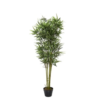 
Breng de Zen van Kunstplant Phyllostachys in Uw Huis of Kantoor Een Oase van Rust met Onderhoudsvrije Bamboe Stelt u zich de rustgevende, groene uitstraling voor van Phyllostachys, beter bekend als Bamboe, die een natuurlijke, vredige sfeer in uw leef- of werkruimte brengt. Onze kunstplant Phyllostachys, met een royale afmeting van ø 18 x 135 cm, biedt de perfecte manier om deze zen-achtige rust in huis te halen zonder de noodzaak van verzorging of onderhoud. Eeuwig Groene Elegantie, Geen Water Nodig Deze zorgvuldig ontworpen kunstplant bootst de elegante, opstaande vorm en de frisgroene kleur van echte bamboe na, waardoor een authentieke en rustgevende sfeer ontstaat in elke kamer. De kunst Bamboe behoudt zijn levendige uitstraling het hele jaar door, vrij van de zorgen van dagelijkse verzorging, waardoor het de ideale keuze is voor drukke levensstijlen of ruimtes met weinig natuurlijk licht. Verfijnde Natuurlijke Schoonheid voor Elk Interieur Onze kunstplant Phyllostachys is niet alleen een symbool van rust en vrede, maar ook een stijlvol decorstuk dat past bij elke interieurstijl, van modern tot traditioneel. Of het nu gaat om het toevoegen van een groen accent aan uw woonkamer, het verfraaien van uw kantoor, of het creëren van een ontspannende hoek in uw slaapkamer, deze kunst Bamboe biedt onbegrensde decoratiemogelijkheden. Duurzaam en Praktisch, Perfect voor Elke Ruimte Vervaardigd met hoogwaardige materialen, is onze nep Phyllostachys bestand tegen verbleken en slijtage, waardoor het een duurzame en praktische keuze is voor zowel binnen- als buitendecoratie. Deze onderhoudsvrije kunstplant biedt een allergievriendelijke optie voor iedereen die wil genieten van de schoonheid van de natuur zonder het gedoe. Voeg Een Vleugje Groen Toe Zonder Gedoe Laat uw ruimte herleven met de tijdloze schoonheid en de serene uitstraling van onze kunstplant Phyllostachys. Perfect voor iedereen die op zoek is naar een moeiteloze manier om natuurlijke elementen en een gevoel van rust in hun omgeving te brengen. Bestel nu en laat de kalmerende invloed van onze kunst Bamboe uw dagelijkse leven verrijken.
