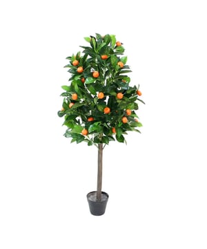 
Voeg een Vleugje Zoete Sfeer Toe met de Kunststof Citrus Mitis Een Exotisch Accent, Zonder de Zorg Stelt u zich eens voor: de levendige, verfrissende aanwezigheid van een Citrus Mitis, beter bekend als de Dwergsinaasappel, die uw huis of kantoorruimte siert met zijn glanzende groene bladeren en vrolijke oranje vruchten. Onze kunststof Dwergsinaasappel, met zijn royale afmetingen van ø 65 x 125 cm, is de perfecte manier om deze droom te realiseren zonder dat u zich zorgen hoeft te maken over water geven, snoeien of seizoensgebonden zorg. Een Tropisch Meesterwerk, het Hele Jaar Door Deze prachtig vervaardigde kunststof Citrus Mitis is ontworpen om de unieke charme en schoonheid van de echte Dwergsinaasappel tot in het kleinste detail na te bootsen. Van de textuur van de bladeren tot de kleur van de vruchten, elke aspect van deze nepplant weerspiegelt de natuurlijke allure van zijn levende tegenhanger. Het is een blijvend stuk dat elk seizoen zijn frisse, levendige uitstraling behoudt, ideaal voor liefhebbers van planten die de voorkeur geven aan gemak. Verlevendig Elke Ruimte met Natuurlijke Kleur Onze kunststof Dwergsinaasappel is meer dan gewoon een decoratief element; het is een statement van stijl en smaak dat elke kamer kan transformeren. Het toevoegen van deze plant aan uw interieur brengt onmiddellijk een zonnige, exotische sfeer, of het nu gaat om een subtiele touch in een minimalistisch ontwerp of een opvallend middelpunt in een tropisch thema. Duurzaamheid en Stijl in Één Gemaakt van hoogwaardige materialen, is onze nep Citrus Mitis zowel duurzaam als visueel aantrekkelijk. Het is bestand tegen vervagen en slijtage, waardoor het een praktische en stijlvolle keuze is voor zowel binnen- als buitendecoratie. Bovendien biedt het een allergievriendelijke optie voor diegenen die willen genieten van de schoonheid van planten zonder de zorgen van allergieën. Breng de Warmte van de Zon in Uw Huis Laat uw ruimte stralen met de levendige, warme aanwezigheid van onze onderhoudsvrije kunststof Citrus Mitis. Deze charmante, levensechte dwergsinaasappel biedt een permanente herinnering aan zonnige dagen en vrolijke momenten. Bestel nu en ervaar hoe eenvoudig het is om de essentie van de tropen in uw huis te brengen, zonder enig onderhoud.