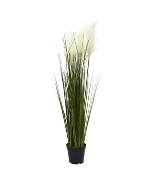 
Breng de Weelderige Schoonheid van Kunstgras Cortaderia Selloana in Uw Interieur Een Stijlvolle, Onderhoudsvrije Touch van de Natuur Stel u voor: de zachte, rustgevende uitstraling van Cortaderia selloana, beter bekend als Pampasgras, die een vleugje natuurlijke elegantie toevoegt aan uw huis of kantoor. Ons kunstgras Pampasgras, met een afmeting van ø 13 x 90 cm, biedt de perfecte mix van natuurlijke schoonheid en gemak. Deze kunstplant vereist geen water, geen licht, en geen speciale zorg, waardoor het een ideale decoratieve oplossing is voor elke ruimte. Natuurlijke Charme, Het Hele Jaar Door Dit zorgvuldig ontworpen kunstgras Pampasgras vangt de etherische schoonheid en serene uitstraling van echt Pampasgras. Met zijn levensechte pluimen en natuurgetrouwe textuur brengt het een warme, rustieke sfeer in elke omgeving. Zonder de noodzaak van onderhoud of vervanging behoudt deze kunstplant zijn pracht seizoen na seizoen, jaar na jaar. Verfijnde Decoratie voor Elk Interieur Ons kunstgras Pampasgras is een veelzijdige toevoeging aan uw interieurdecoratie. Het staat prachtig in een minimalistische setting, voegt een romantisch accent toe aan een klassiek decor, en brengt een organische textuur in moderne interieurs. Of het nu gaat om het verfraaien van de woonkamer, het opfleuren van een kantoorruimte, of het toevoegen van een natuurlijk element aan uw slaapkamer, dit kunstgras biedt eindeloze mogelijkheden. Duurzaam en Praktisch, Een Zorgeloze Keuze Vervaardigd uit hoogwaardige, duurzame materialen, is ons nep Pampasgras ontworpen om lang mee te gaan. Het is bestand tegen verbleken en slijtage, waardoor het een slimme investering is voor zowel thuis als commerciële ruimtes. Bovendien is het een allergievriendelijke optie, perfect voor iedereen die de uitstraling van echte planten wenst zonder de zorgen. Transformeer Uw Ruimte met de Eenvoud van Pampasgras Upgrade uw interieur met de tijdloze schoonheid en het onderhoudsvrije gemak van onze kunstgras Cortaderia selloana. Deze stijlvolle, levensechte kunstplant biedt een blijvende herinnering aan de schoonheid van de natuur, zonder het gedoe van echt tuinonderhoud. Bestel nu en geniet van de rustige, natuurlijke elegantie die ons kunstgras Pampasgras aan uw ruimte toevoegt.