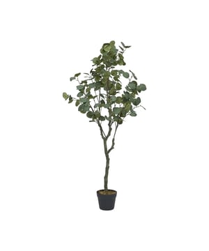 
Realistische Eucalyptus Kunstplant in Pot – Onderhoudsvrije Groenblijvende Decoratie voor Binnen en Buiten Breng een vleugje natuurlijke elegantie in je interieur met deze levensechte kunst eucalyptus boom van 130 cm. Dankzij de realistische bladeren en de natuurgetrouwe stam creëert deze kunstplant een rustgevende, moderne uitstraling in elke ruimte. Ideaal voor liefhebbers van groen zonder het gedoe van onderhoud!  Realistisch en Natuurgetrouw Design De eucalyptus kunstboom heeft prachtige ronde, grijsgroene bladeren die subtiel variëren in tint, net als een echte eucalyptusboom (Eucalyptus cinerea). De licht gebogen takken en gedetailleerde stam geven deze kunstplant een authentieke en stijlvolle uitstraling.  Perfect voor Elk Interieur & Buitenruimte Deze kunst eucalyptus boom is veelzijdig in gebruik en staat prachtig in: De woonkamer – Als stijlvolle groene blikvanger De slaapkamer – Voor een rustgevende, natuurlijke sfeer Het kantoor of werkruimte – Voor een inspirerende en frisse uitstraling Het balkon of terras (beschut) – Blijft altijd groen, ongeacht het seizoen Geleverd in een stevige zwarte basis pot, zodat je de boom eenvoudig kunt plaatsen in een decoratieve sierpot naar keuze.  Onderhoudsvrij & Duurzaam Geniet van een altijd groene eucalyptus zonder water te geven, snoeien of bladeren op te ruimen. Gemaakt van hoogwaardige materialen die jarenlang meegaan zonder te verkleuren of te verwelken.  Productspecificaties: Hoogte: 130 cm Materiaal: Hoogwaardig kunststof & textiel Inclusief stevige zwarte pot (kan in sierpot geplaatst worden) Voor binnen en beschutte buitenruimtes Realistische bladeren en natuurgetrouwe stam Direct klaar voor gebruik, geen montage nodig  Waarom kiezen voor deze kunst eucalyptus boom? Levensecht design – Natuurgetrouw en stijlvol Geen onderhoud nodig – Geen water, geen snoeiwerk Veelzijdig te gebruiken – Past in elk interieur of werkruimte Hoogwaardige kwaliteit – Blijft jarenlang mooi Voeg deze prachtige kunst eucalyptus boom toe aan je interieur en geniet van een altijd groene en stijlvolle uitstraling zonder zorgen. Bestel vandaag nog en geef je ruimte een natuurlijke touch! Materiaal: Kunststof
