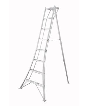 
Praktische aluminium 3-poot tuinladder in aantrekkelijk design voor doelgericht gebruik op hellingen en voor het veilig werken aan heggen, boomgaard en bomen. Hoogte 240 cm. Het brede onderstel en de diepe dubbele sporten met antislipribbels zorgen ervoor dat je in elke positie veilig en comfortabel kunt staan. Driepoot Ladders zijn essentieel voor het onderhouden van grote struiken en heggen. De ladder heeft een Roestvrije constructie voor langdurige duurzaamheid.Of het nu gaat om vormsnoei-, boom- of trapwerk; Dankzij de derde poot, is de ladder uiterst flexibel en veelzijdig te gebruiken (ook als leunladder). Ideaal voor het perfect egaliseren van oneffen terrein of voor dichtbij en direct werken aan de stam. De opvouwbare constructie en het lage gewicht zorgen voor eenvoudig transport en ruimtebesparende opslag. En last but not least: Roestvrije constructie zorgt voor langdurige duurzaamheid. De gelaste, geëxtrudeerde aluminium constructie is weerbestendig, sterk en zeer licht. Dubbele sporten zijn gemakkelijk voor de voeten en worden niet modderig of glad.Nawaki Hasagawa: Japanse origineDe stabiele driepoot ladders van Nawaki kennen haar origine in Japan waar dit type ladders gebruikt werd om de struiken mooi maar vooral op een veilige manier te snoeien. Tegenwoordig worden de ladders gemaakt in een regio die er een kunst van gemaakt heeft. Hadegawa. Vraag een willekeurige Japanse tuinier welke ladders zij gebruiken en ze zeggen allemaal hetzelfde: Hasegawa. Hasegawa heeft de reputatie de beste kwaliteit en veiligste ladders te fabriceren die voor het ogenblik beschikbaar zijn. De productie is conform de Japanese industriële standaard .Alle ladders zijn voorzien van volledige veiligheids- en gebruiksinstructies. De EN Pro verstelbare statiefladder voldoet aan de EN-131-normen voor commercieel gebruik  Dankzij de brede basis, de diepe treden en de uitschuifbare achterpoot, maar ook de klauwpoten en de platte bovenkant zijn ze bijzonder veilig en eenvoudig te gebruiken.Driepoot laddersDriepoot Ladders zijn essentieel voor het onderhouden van grote struiken en heggen. U kunt er zowel frontaal mee werken, met de 3e poot in de heg, of zijwaarts, met de ladder parallel aan de heg - hun aanpasbaarheid (3 poten), stabiliteit (brede basis) en comfort (dubbele sporten) stellen u in staat om alle tijd te besteden die nodig is om klussen goed uit te voeren, zonder haast. Door de platte poten zak je niet zo snel weg en door de 3 poten kun je makkelijker ergens staan dan met een traditionele ladder.Tripod ladders zijn ideaal voor boomgaardwerk, zowel voor het plukken als snoeien, waar u dankzij de enkele achterpoot direct in de kroon van de boom kunt komen. In tegenstelling tot traditionele boomgaardontwerpen (puntige A-frame), kunt u over de bovenkant leunen of plukmanden etc. erop laten rusten. Ze zijn ook aanzienlijk breder aan de basis dan A-frames, passen zich aan hellingen aan en zijn natuurlijk gelast in plaats van geklonken, dus veel, veel sterker - en uitzonderlijk licht en gemakkelijk te gebruiken.Leveringdoor het grote en brede formaat wordt de ladder met speciale koerier geleverd. Hierdoor kost het iets meer tijd dan een standaard doosje.Merk: NiwakiKleur: zilverMateriaal: Aluminium - Afmeting: - Kleur: Zilverkleurig - Materiaal: Aluminium