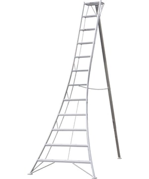 
Praktische aluminium 3-poot tuinladder in aantrekkelijk design voor doelgericht gebruik op hellingen en voor het veilig werken aan heggen, boomgaard en bomen. Hoogte 360 cm. Het brede onderstel en de diepe dubbele sporten met antislipribbels zorgen ervoor dat je in elke positie veilig en comfortabel kunt staan. Driepoot Ladders zijn essentieel voor het onderhouden van grote struiken en heggen. De ladder heeft een Roestvrije constructie voor langdurige duurzaamheid.Of het nu gaat om vormsnoei-, boom- of trapwerk; Dankzij de derde poot, is de ladder uiterst flexibel en veelzijdig te gebruiken (ook als leunladder). Ideaal voor het perfect egaliseren van oneffen terrein of voor dichtbij en direct werken aan de stam. De opvouwbare constructie en het lage gewicht zorgen voor eenvoudig transport en ruimtebesparende opslag. En last but not least: Roestvrije constructie zorgt voor langdurige duurzaamheid. De gelaste, geëxtrudeerde aluminium constructie is weerbestendig, sterk en zeer licht. Dubbele sporten zijn gemakkelijk voor de voeten en worden niet modderig of glad.Nawaki Hasagawa: Japanse origineDe stabiele driepoot ladders van Nawaki kennen haar origine in Japan waar dit type ladders gebruikt werd om de struiken mooi maar vooral op een veilige manier te snoeien. Tegenwoordig worden de ladders gemaakt in een regio die er een kunst van gemaakt heeft. Hadegawa. Vraag een willekeurige Japanse tuinier welke ladders zij gebruiken en ze zeggen allemaal hetzelfde: Hasegawa. Hasegawa heeft de reputatie de beste kwaliteit en veiligste ladders te fabriceren die voor het ogenblik beschikbaar zijn. De productie is conform de Japanese industriële standaard .Alle ladders zijn voorzien van volledige veiligheids- en gebruiksinstructies. De EN Pro verstelbare statiefladder voldoet aan de EN-131-normen voor commercieel gebruik  Dankzij de brede basis, de diepe treden en de uitschuifbare achterpoot, maar ook de klauwpoten en de platte bovenkant zijn ze bijzonder veilig en eenvoudig te gebruiken.Driepoot laddersDriepoot Ladders zijn essentieel voor het onderhouden van grote struiken en heggen. U kunt er zowel frontaal mee werken, met de 3e poot in de heg, of zijwaarts, met de ladder parallel aan de heg - hun aanpasbaarheid (3 poten), stabiliteit (brede basis) en comfort (dubbele sporten) stellen u in staat om alle tijd te besteden die nodig is om klussen goed uit te voeren, zonder haast. Door de platte poten zak je niet zo snel weg en door de 3 poten kun je makkelijker ergens staan dan met een traditionele ladder.Tripod ladders zijn ideaal voor boomgaardwerk, zowel voor het plukken als snoeien, waar u dankzij de enkele achterpoot direct in de kroon van de boom kunt komen. In tegenstelling tot traditionele boomgaardontwerpen (puntige A-frame), kunt u over de bovenkant leunen of plukmanden etc. erop laten rusten. Ze zijn ook aanzienlijk breder aan de basis dan A-frames, passen zich aan hellingen aan en zijn natuurlijk gelast in plaats van geklonken, dus veel, veel sterker - en uitzonderlijk licht en gemakkelijk te gebruiken.Leveringdoor het grote en brede formaat wordt de ladder met speciale koerier geleverd. Hierdoor kost het iets meer tijd dan een standaard doosje.Merk: NiwakiBuitenmaat BxDxH: 147x272x360 cm (BxDxH)Kleur: zilverMateriaal: AluminiumGewicht: 17 kg Praktische aluminium ladder in een aantrekkelijk ontwerp voor gericht gebruik op hellingen en voor veilig werken aan heggen en bomen. - Afmeting: - Kleur: Zilverkleurig - Materiaal: Aluminium