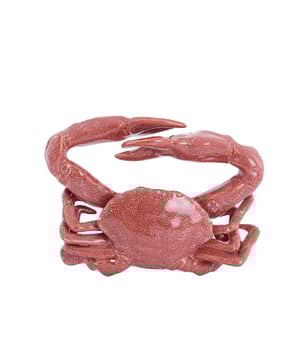 
Shop dit prachtige artikel van Light & LivingOrnament 29x29x6,5 cm CRAB keramiek koraal is gemaakt en ontwerpen door het Nederlandse merk Light & Living.De belangrijkste kenmerken van het artikel zijn als volgt:Kleur: RoodProduct Lengte: 29Product Breedte: 29Producht Hoogte: 6.5Gewicht: 5Light & Living werd meer dan vijftig jaar geleden opgericht. We begonnen met het maken van lampenkappen in een kleine fabriekshal. Al snel kwamen daar lampen bij, zodat we een totaal verlichtingsconcept konden aanbieden. Na vele jaren actief te zijn geweest op de verlichtingsmarkt, zijn we gaan uitbreiden met betaalbare woonaccessoires en (klein)meubelen.Wij weten als geen ander dat thuis de plek is waar mensen zich vaak het prettigst voelen. Een eigen plek, ingericht met comfortabele meubels en sfeervolle verlichting. We denken graag met je mee. Daarom reizen we de hele wereld over op zoek naar de mooiste verlichting en woondecoratie. We zijn altijd op zoek naar dat ene speciale item waar ons hart sneller van gaat kloppen. Deze momenten leggen we vast en vertalen we naar onze producten.Twee keer per jaar presenteren we een nieuwe seizoenscollectie. Zo weten we je elke keer weer te inspireren! - Afmeting: Ø29x6.5 - Kleur: Rood - Materiaal: Keramiek