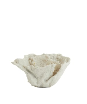 
Shop dit prachtige artikel van Light & LivingOrnament 23x16x13 cm CORAL crème is gemaakt en ontwerpen door het Nederlandse merk Light & Living.De belangrijkste kenmerken van het artikel zijn als volgt:Kleur: WitProduct Lengte: 23Product Breedte: 16Producht Hoogte: 13Gewicht: 5Light & Living werd meer dan vijftig jaar geleden opgericht. We begonnen met het maken van lampenkappen in een kleine fabriekshal. Al snel kwamen daar lampen bij, zodat we een totaal verlichtingsconcept konden aanbieden. Na vele jaren actief te zijn geweest op de verlichtingsmarkt, zijn we gaan uitbreiden met betaalbare woonaccessoires en (klein)meubelen.Wij weten als geen ander dat thuis de plek is waar mensen zich vaak het prettigst voelen. Een eigen plek, ingericht met comfortabele meubels en sfeervolle verlichting. We denken graag met je mee. Daarom reizen we de hele wereld over op zoek naar de mooiste verlichting en woondecoratie. We zijn altijd op zoek naar dat ene speciale item waar ons hart sneller van gaat kloppen. Deze momenten leggen we vast en vertalen we naar onze producten.Twee keer per jaar presenteren we een nieuwe seizoenscollectie. Zo weten we je elke keer weer te inspireren! - Afmeting: 23x16x13 - Kleur: Wit - Materiaal: Kunststof